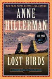 Cover image for Lost Birds